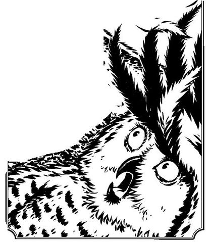 File:Plonk.jpg