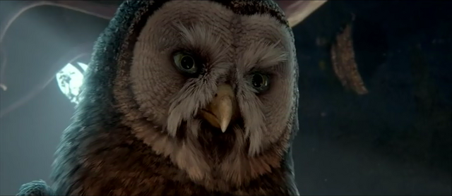 File:AllomereOwlsofGahooleCap.png