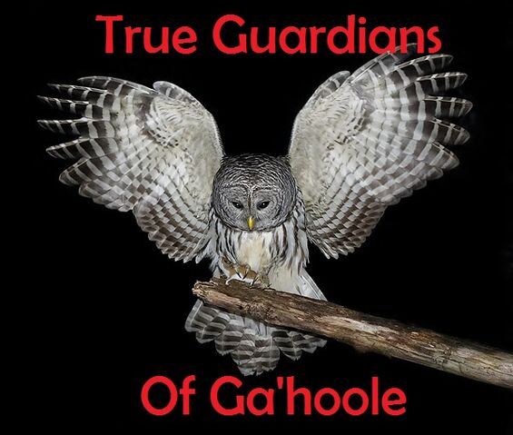 File:True Guardians of Ga'hoole.jpg