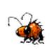 Itchi