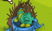 Too closape