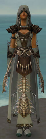 Plik:Dervish Primeval armor f.jpg