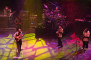 Dave Matthews Band - Band Shot Melbourne 2005