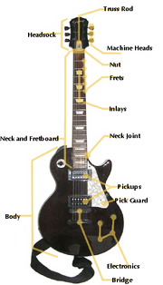 Electricguitaranatomy