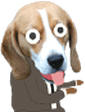 Office dog