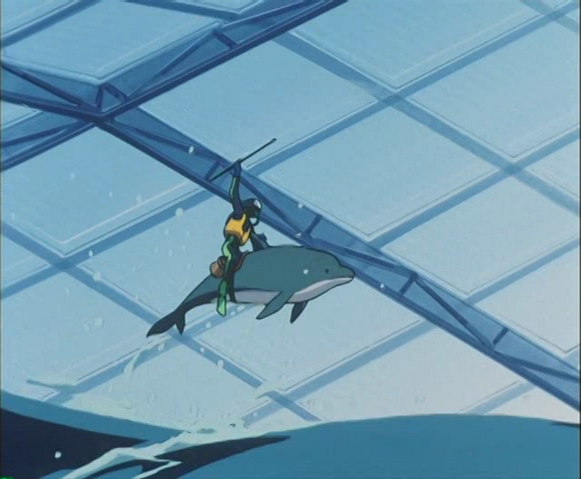 File:Dolphin Rider.png