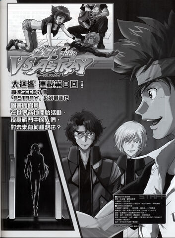 File:VSAstray 08 04.jpg