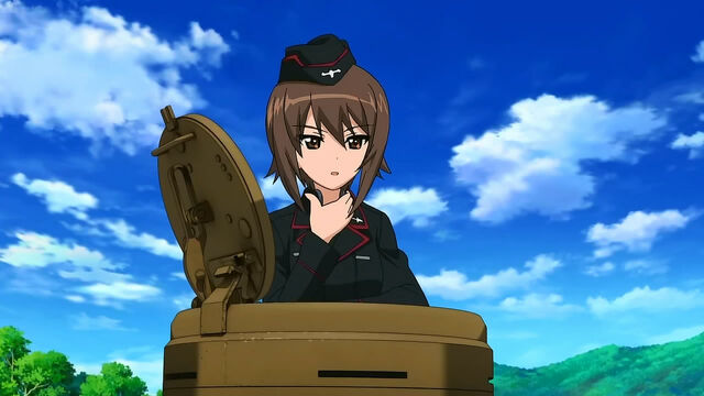 Archivo:Maho14.jpg