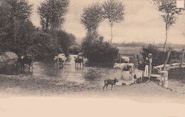 Acugnon-0.jpg