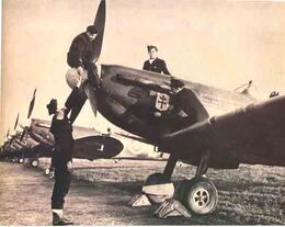 Anm1.jpg