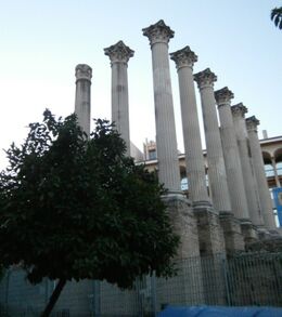 Aco37.jpg