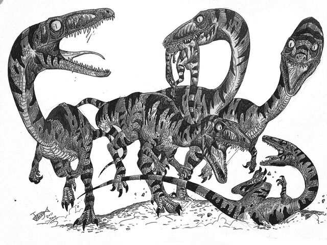 File:Fighting.jpg