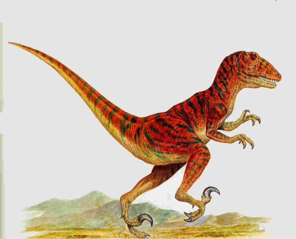 File:Adasaurus.jpg