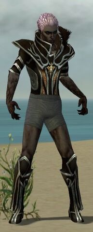 File:Necromancer Elite Sunspear Armor M gray chest feet front.jpg