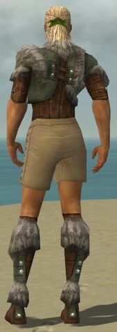 File:Ranger Fur-Lined Armor M gray chest feet back.jpg