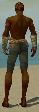 File:Ranger Tyrian Armor M gray arms legs back.jpg