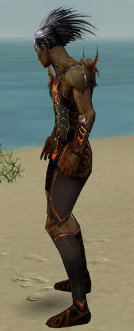 File:Necromancer Istani Armor M dyed side.jpg