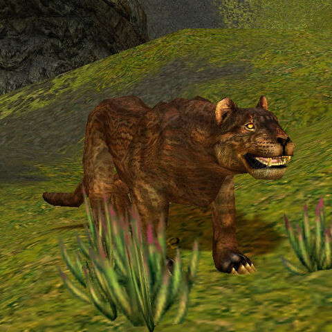 File:User Garreth MacLeod MacCatan.jpg
