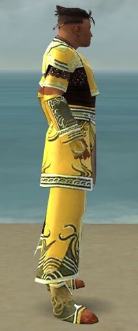 File:Monk Deldrimor Armor M dyed side.jpg