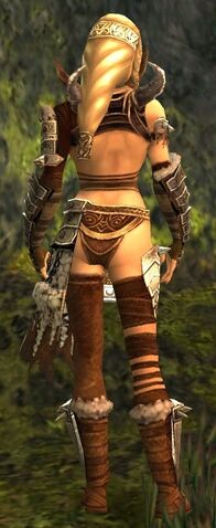 File:Jora Armor Brotherhood Back.jpg