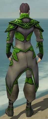 File:Elementalist Monument Armor M dyed back.jpg