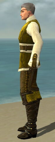 File:Mesmer Monument Armor M dyed side.jpg