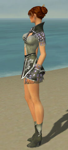 File:Elementalist Shing Jea Armor F gray side.jpg