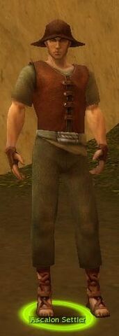 File:AscalonSettler.jpg