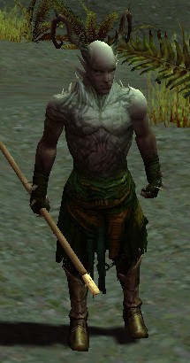 Warden of the Spirit
