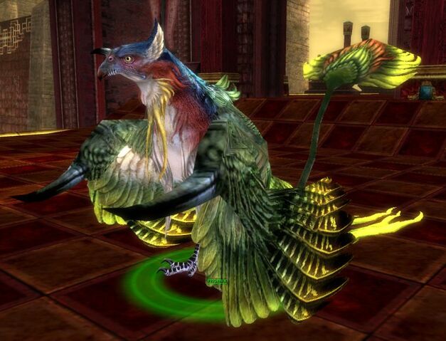 File:Phoenix (Pet).jpg