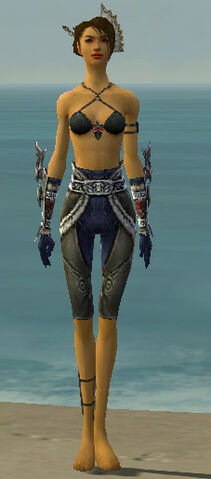 File:Assassin Norn Armor F gray arms legs front.jpg