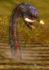 PlagueWorm