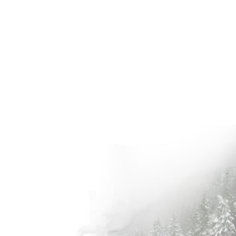 File:Snow tree-bright.jpg