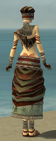 File:Ritualist Exotic Armor F gray back.jpg
