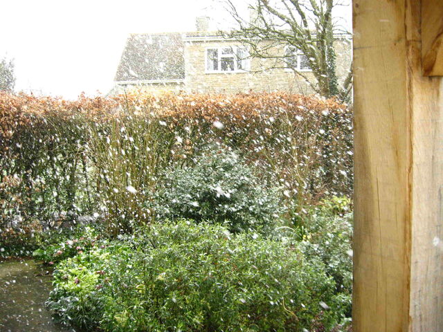 File:It snoez.jpg