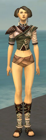 File:Monk Canthan Armor F gray chest feet front.jpg