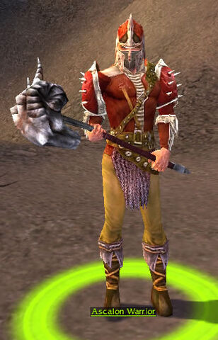 File:Ascalon Warrior.jpg