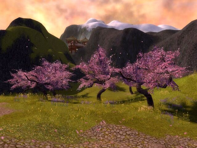 File:Lann-NCherryBlossoms.jpg