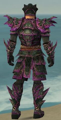 File:Warrior Elite Luxon Armor M dyed back.jpg