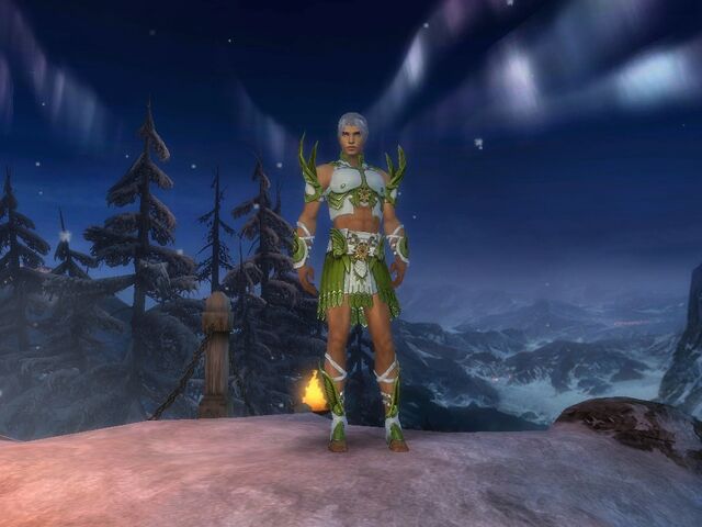 File:Devout Protector (my title getter).jpg