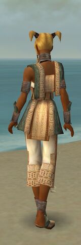 File:Monk Vabbian Armor F gray back.jpg