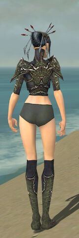 File:Necromancer Elite Necrotic Armor F gray chest feet back.jpg