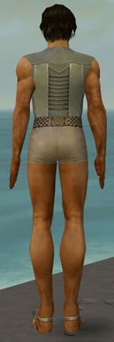 File:Dervish Istani Armor M gray chest feet back.jpg