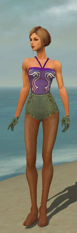 File:Mesmer Elite Canthan Armor F gray arms legs front.jpg