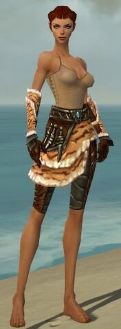 File:Ranger Vabbian Armor F gray arms legs front.jpg