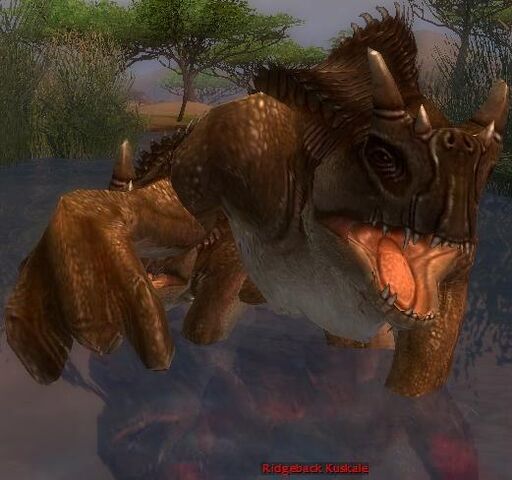 File:Ridgeback Kuskale.jpg