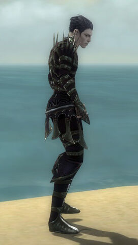 File:Necromancer Elite Cabal Armor M gray side.jpg