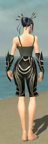 File:Necromancer Elite Sunspear Armor F gray arms legs back.jpg