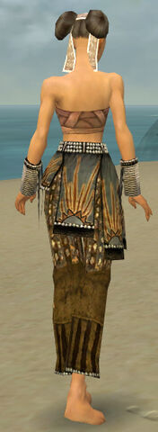 File:Monk Sunspear Armor F gray arms legs back.jpg