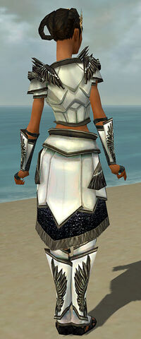 File:Paragon Obsidian Armor F gray back.jpg